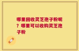 哪里回收灵芝孢子粉呢？哪里可以收购灵芝孢子粉