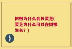 树根为什么会长灵芝(灵芝为什么可以在树根生长？)