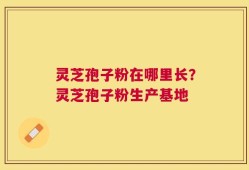 灵芝孢子粉在哪里长？灵芝孢子粉生产基地