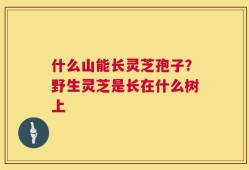 什么山能长灵芝孢子？野生灵芝是长在什么树上