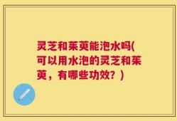 灵芝和茱萸能泡水吗(可以用水泡的灵芝和茱萸，有哪些功效？)