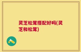 灵芝松茸搭配好吗(灵芝和松茸)