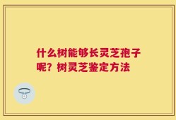 什么树能够长灵芝孢子呢？树灵芝鉴定方法