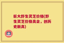 巨大野生灵芝价格(野生灵芝价格高企，创历史新高)