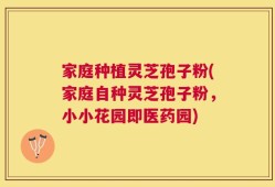 家庭种植灵芝孢子粉(家庭自种灵芝孢子粉，小小花园即医药园)