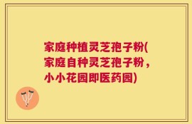 家庭种植灵芝孢子粉(家庭自种灵芝孢子粉，小小花园即医药园)