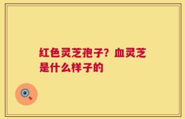 红色灵芝孢子？血灵芝是什么样子的
