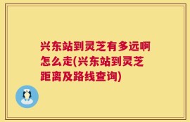 兴东站到灵芝有多远啊怎么走(兴东站到灵芝距离及路线查询)