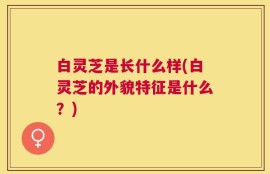 白灵芝是长什么样(白灵芝的外貌特征是什么？)