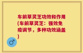车前草灵芝功效和作用(车前草灵芝：强效免疫调节，多种功效涵盖)