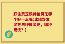 野生灵芝跟种植灵芝哪个好一点呢(比较野生灵芝与种植灵芝，哪种更优？)