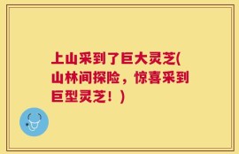 上山采到了巨大灵芝(山林间探险，惊喜采到巨型灵芝！)