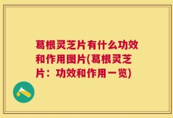 葛根灵芝片有什么功效和作用图片(葛根灵芝片：功效和作用一览)