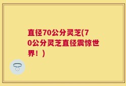 直径70公分灵芝(70公分灵芝直径震惊世界！)