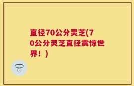 直径70公分灵芝(70公分灵芝直径震惊世界！)