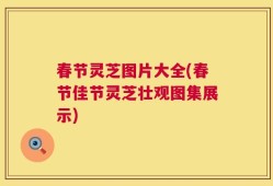 春节灵芝图片大全(春节佳节灵芝壮观图集展示)