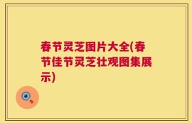 春节灵芝图片大全(春节佳节灵芝壮观图集展示)