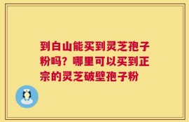 到白山能买到灵芝孢子粉吗？哪里可以买到正宗的灵芝破壁孢子粉