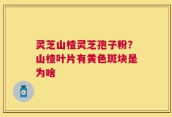灵芝山楂灵芝孢子粉？山楂叶片有黄色斑块是为啥