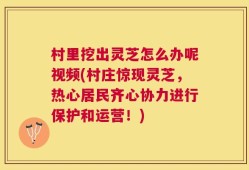 村里挖出灵芝怎么办呢视频(村庄惊现灵芝，热心居民齐心协力进行保护和运营！)