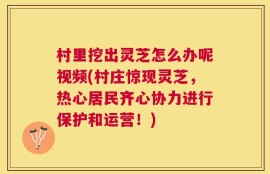 村里挖出灵芝怎么办呢视频(村庄惊现灵芝，热心居民齐心协力进行保护和运营！)