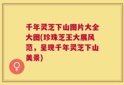 千年灵芝下山图片大全大图(珍珠芝王大展风范，呈现千年灵芝下山美景)