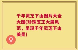 千年灵芝下山图片大全大图(珍珠芝王大展风范，呈现千年灵芝下山美景)