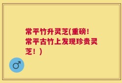 常平竹升灵芝(重磅！常平古竹上发现珍贵灵芝！)