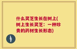 什么灵芝生长在树上(树上生长灵芝：一种珍贵的药材生长形态)