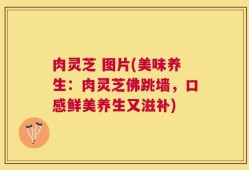 肉灵芝 图片(美味养生：肉灵芝佛跳墙，口感鲜美养生又滋补)