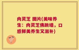 肉灵芝 图片(美味养生：肉灵芝佛跳墙，口感鲜美养生又滋补)