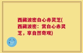西藏波密白心赤灵芝(西藏波密：赏白心赤灵芝，享自然奇观)