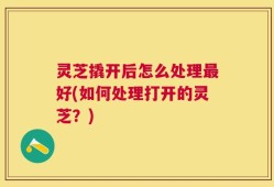 灵芝撬开后怎么处理最好(如何处理打开的灵芝？)
