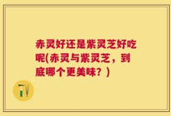 赤灵好还是紫灵芝好吃呢(赤灵与紫灵芝，到底哪个更美味？)