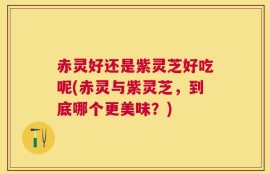 赤灵好还是紫灵芝好吃呢(赤灵与紫灵芝，到底哪个更美味？)
