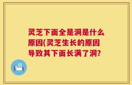 灵芝下面全是洞是什么原因(灵芝生长的原因导致其下面长满了洞？