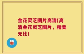 金花灵芝图片高清(高清金花灵芝图片，精美无比)