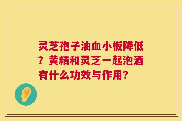 灵芝孢子油降低?黄精和灵芝一起泡酒有什么功效与作用? 灵芝孢子油降低?黄精和灵芝一起泡酒有什么功效与作用?