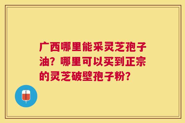 广西哪里能采灵芝孢子油？哪里可以买到正宗的灵芝破壁孢子粉？
