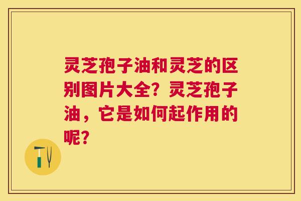灵芝孢子油和灵芝的区别图片大全?灵芝孢子油,它是如何起作用的呢? 灵芝孢子油和灵芝的区别图片大全?灵芝孢子油,它是如何起作用的呢?