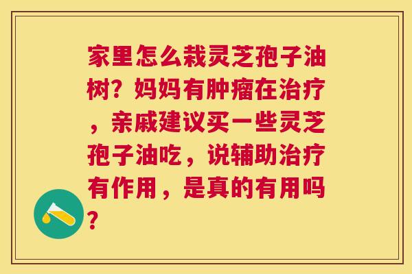 家里怎么栽灵芝孢子油树?妈妈有在,亲戚建议买一些灵芝孢子油吃,说辅助有作用,是真的有用吗? 家里怎么栽灵芝孢子油树?妈妈有在,亲戚建议买一些灵芝孢子油吃,说辅助有作用,是真的有用吗?