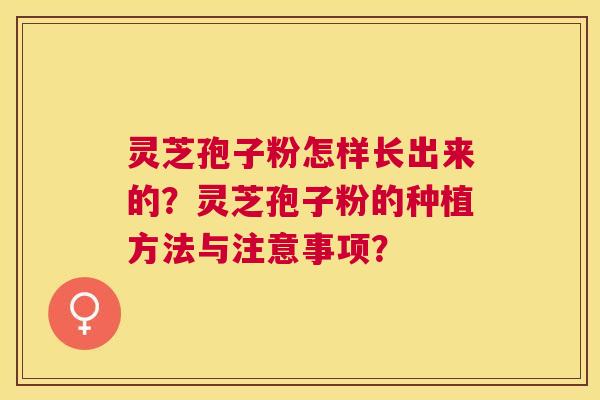 灵芝孢子粉怎样长出来的？灵芝孢子粉的种植方法与注意事项？