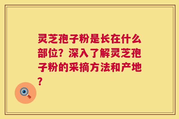 灵芝孢子粉是长在什么部位？深入了解灵芝孢子粉的采摘方法和产地？