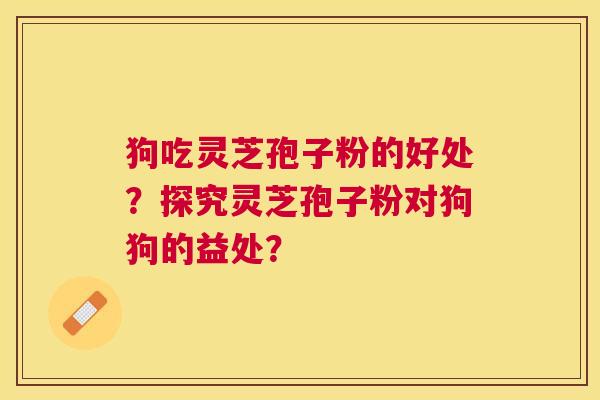 狗吃灵芝孢子粉的好处?探究灵芝孢子粉对狗狗的益处? 狗吃灵芝孢子粉的好处?探究灵芝孢子粉对狗狗的益处?