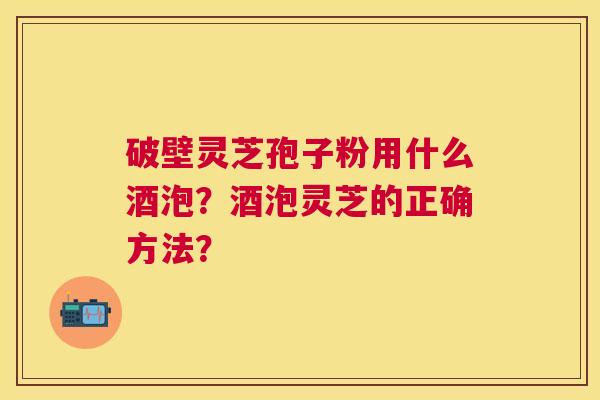 破壁灵芝孢子粉用什么酒泡？酒泡灵芝的正确方法？
