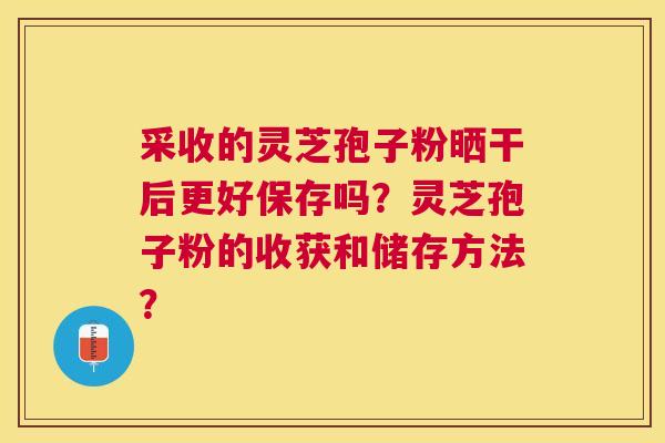 采收的灵芝孢子粉晒干后更好保存吗?灵芝孢子粉的收获和储存方法? 采收的灵芝孢子粉晒干后更好保存吗?灵芝孢子粉的收获和储存方法?