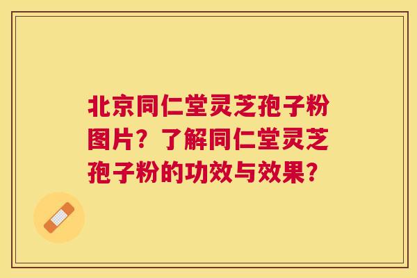 北京同仁堂灵芝孢子粉图片？了解同仁堂灵芝孢子粉的功效与效果？