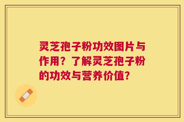 灵芝孢子粉功效图片与作用?了解灵芝孢子粉的功效与营养价值? 灵芝孢子粉功效图片与作用?了解灵芝孢子粉的功效与营养价值?