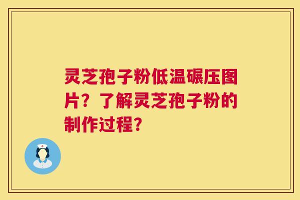 灵芝孢子粉低温碾压图片？了解灵芝孢子粉的制作过程？