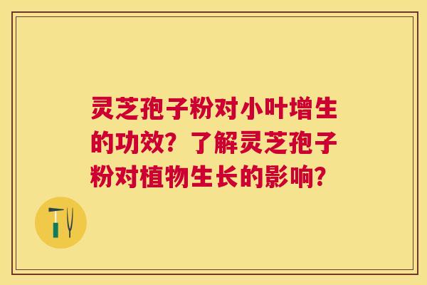 灵芝孢子粉对小叶增生的功效？了解灵芝孢子粉对植物生长的影响？